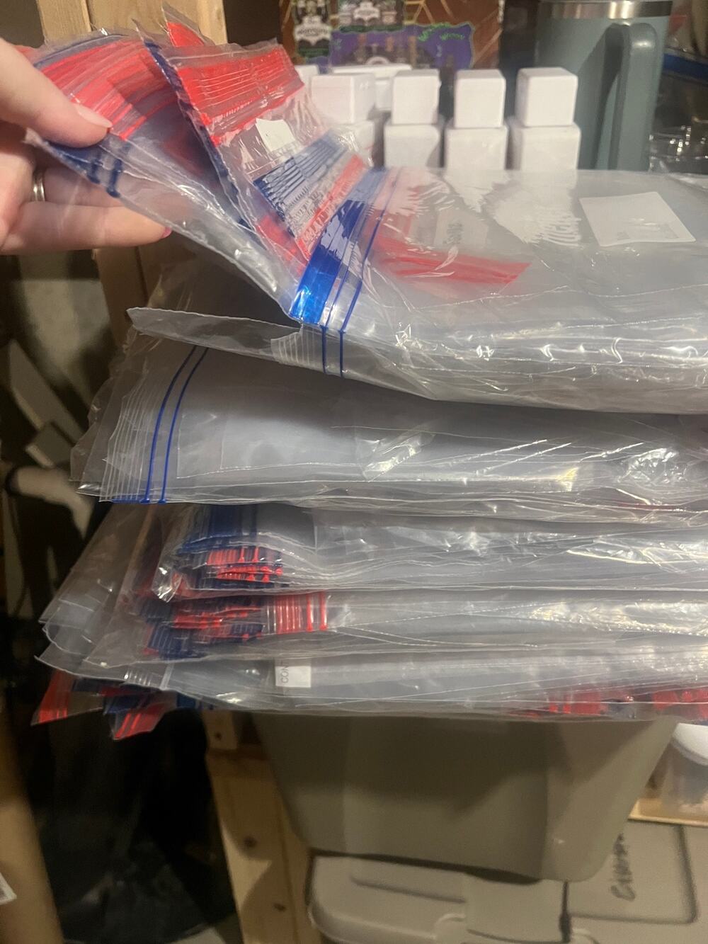 One Gallon Zip Lock Baggies Storage Organization Reseller 600 baggies